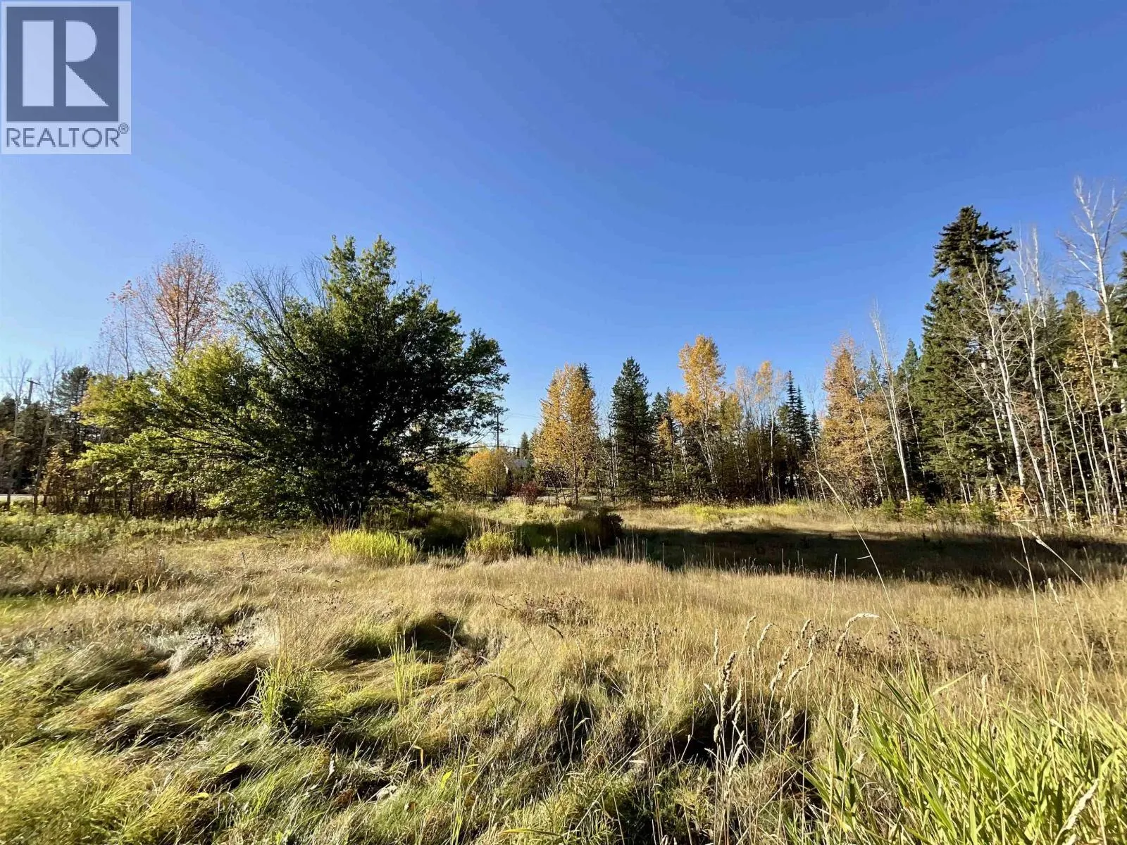 1207 BIG BEN ROAD