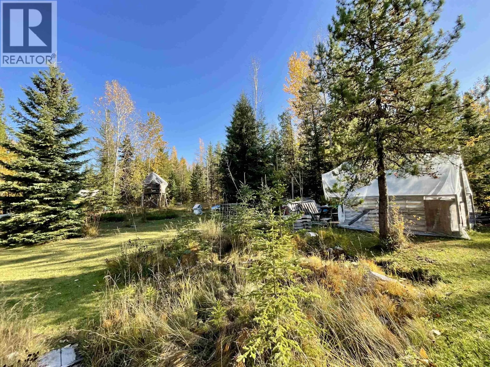 1207 BIG BEN ROAD