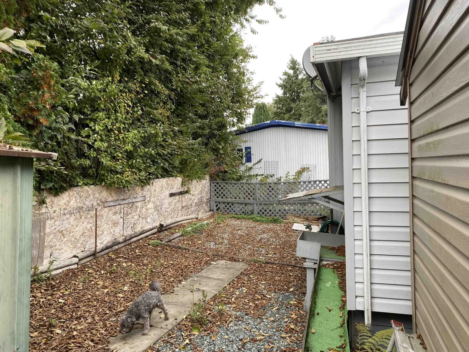 42 13650 80 STREET