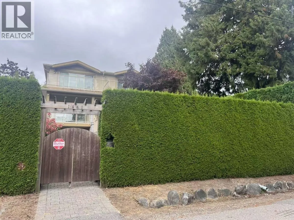 Ground Level-1481 PALMERSTON