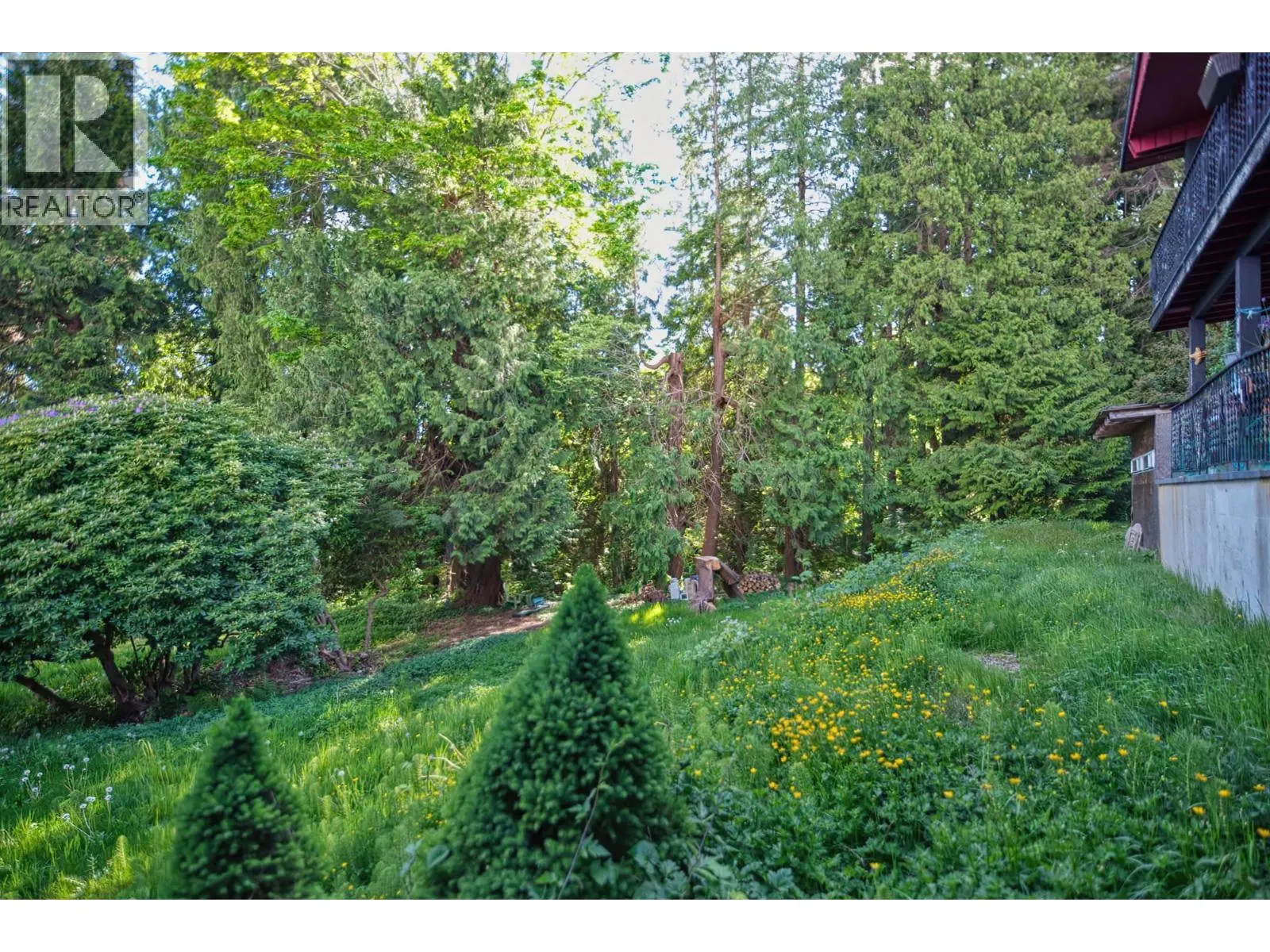 6533 MEIER ROAD
