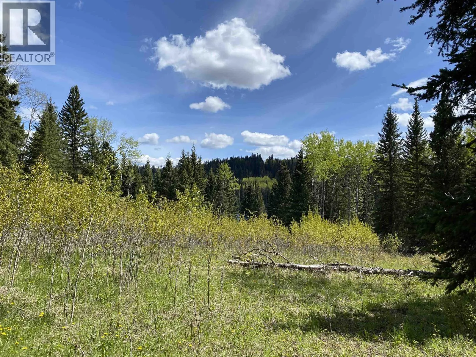 8328 RAINBOW COUNTRY ROAD