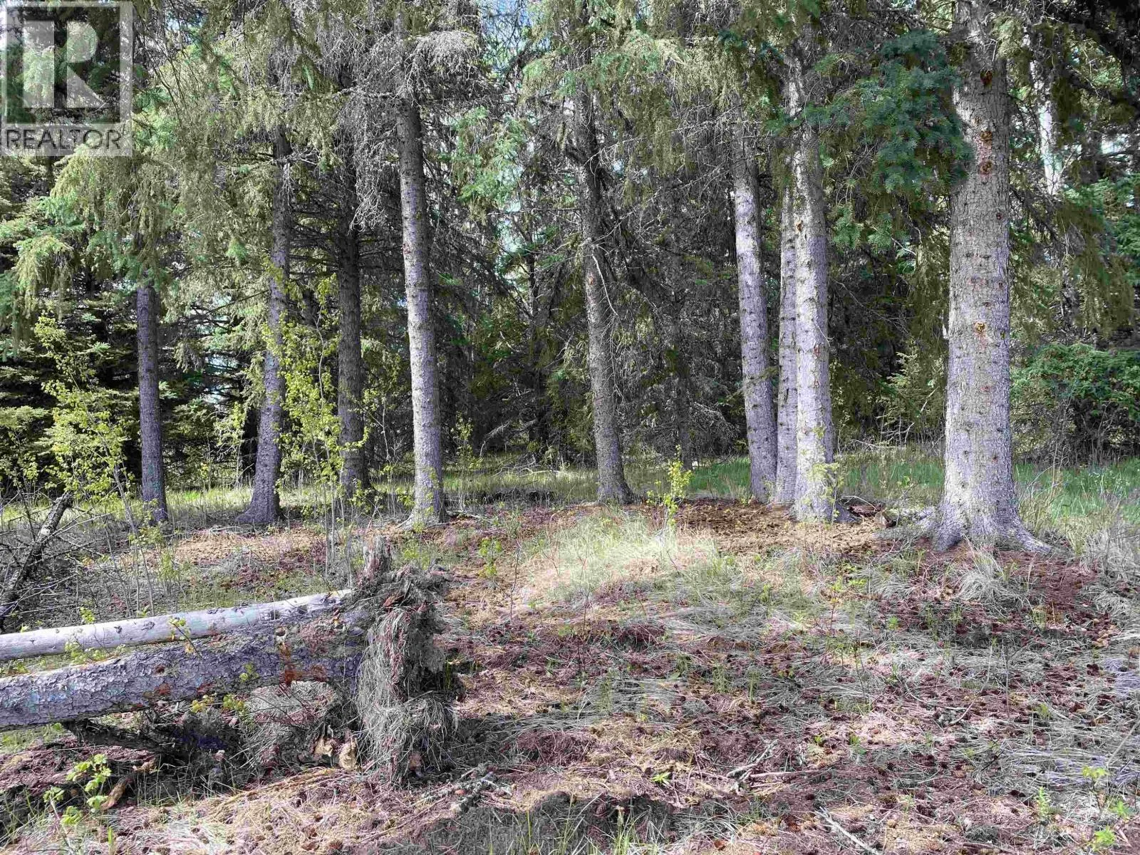 8328 RAINBOW COUNTRY ROAD