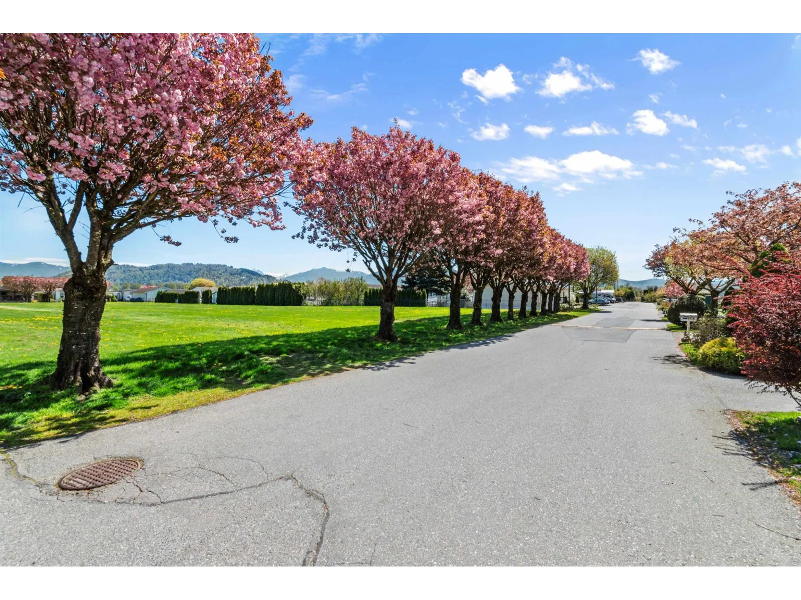 13 41168 LOUGHEED HIGHWAY