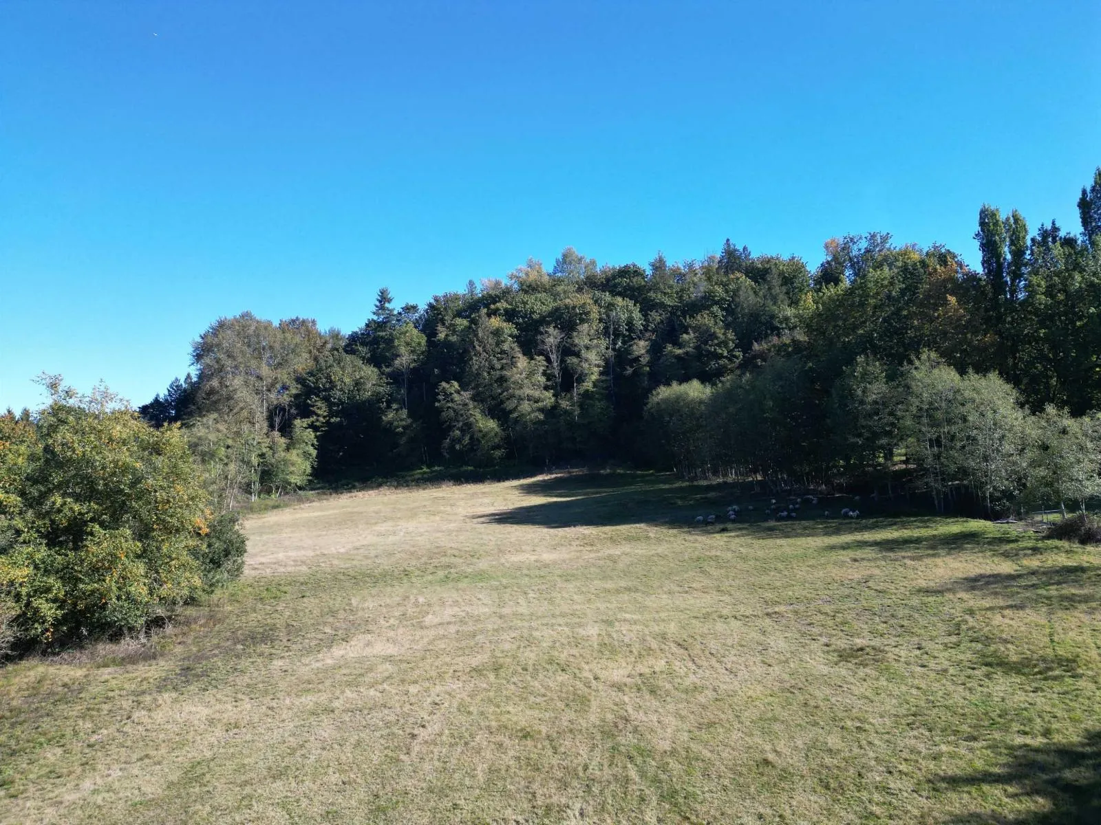 8410 BRADNER ROAD