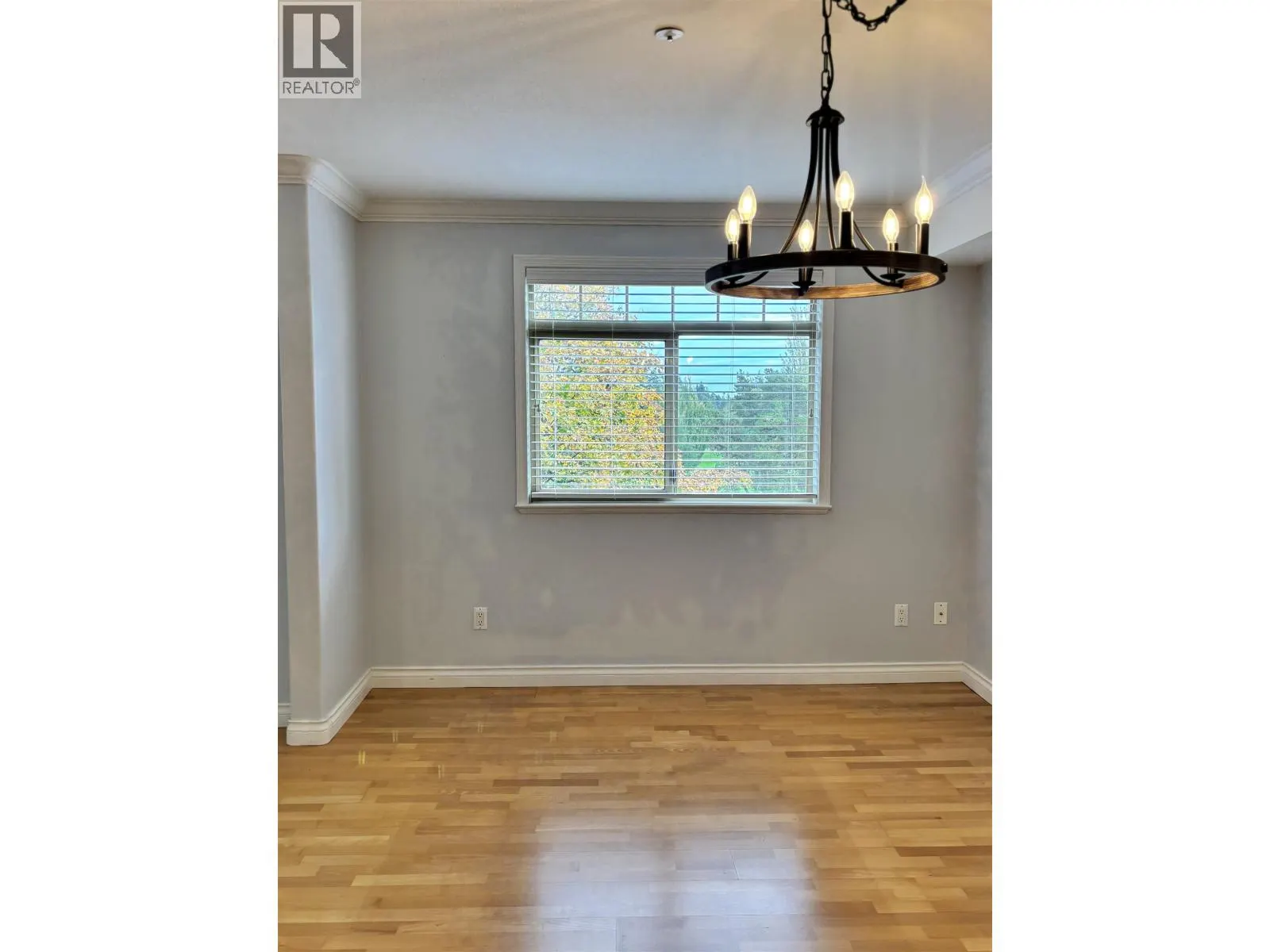 A203 1258 HUNTER ROAD