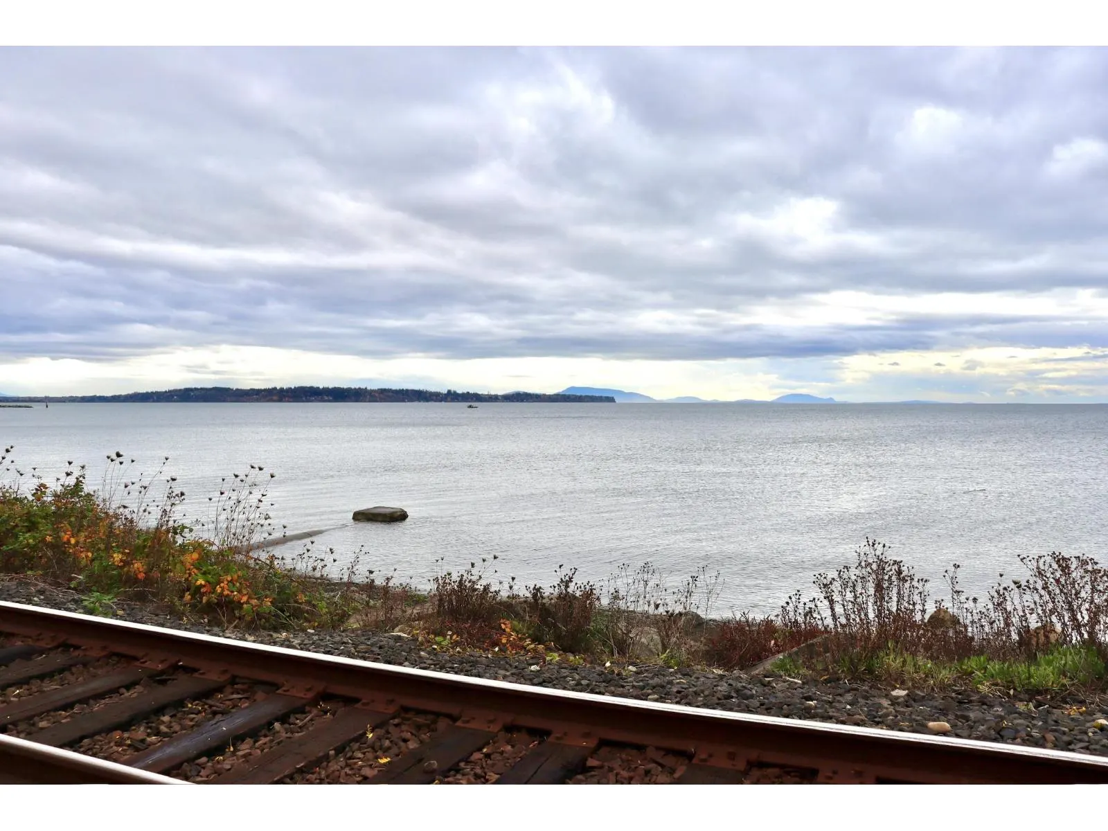 1 1860 SOUTHMERE EAST CRESCENT