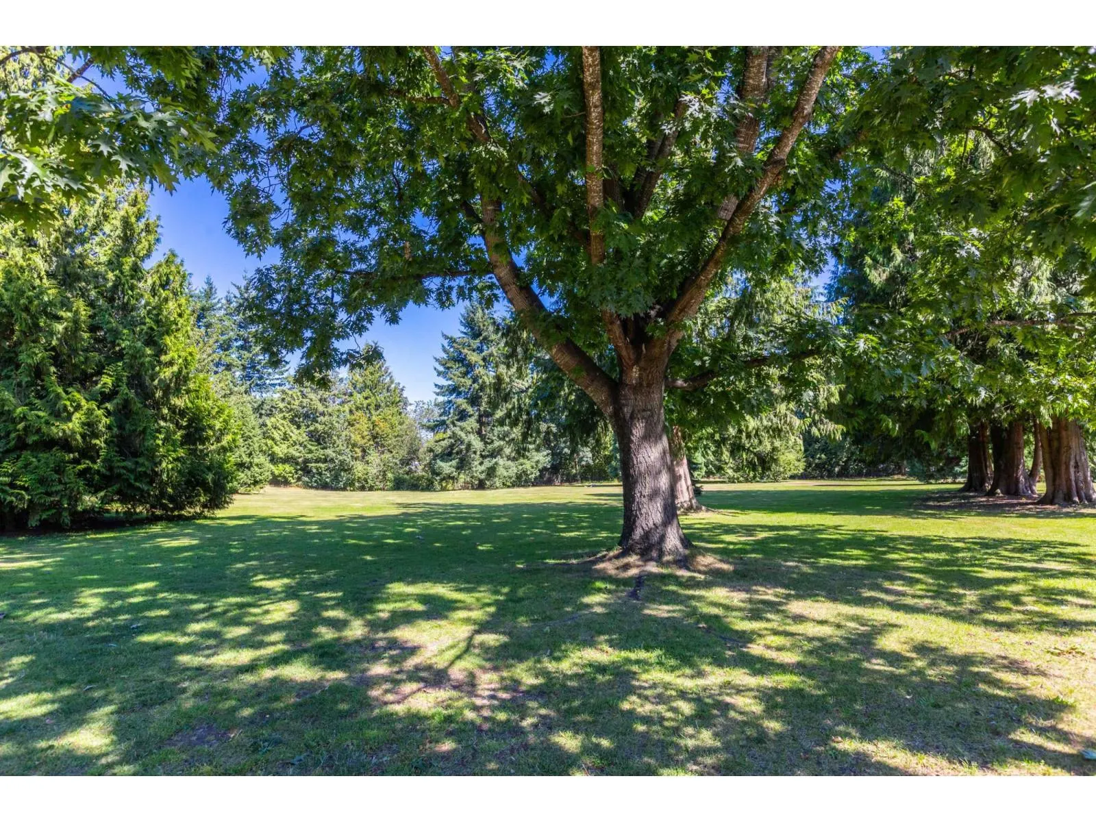 2170 OAKRIDGE CRESCENT