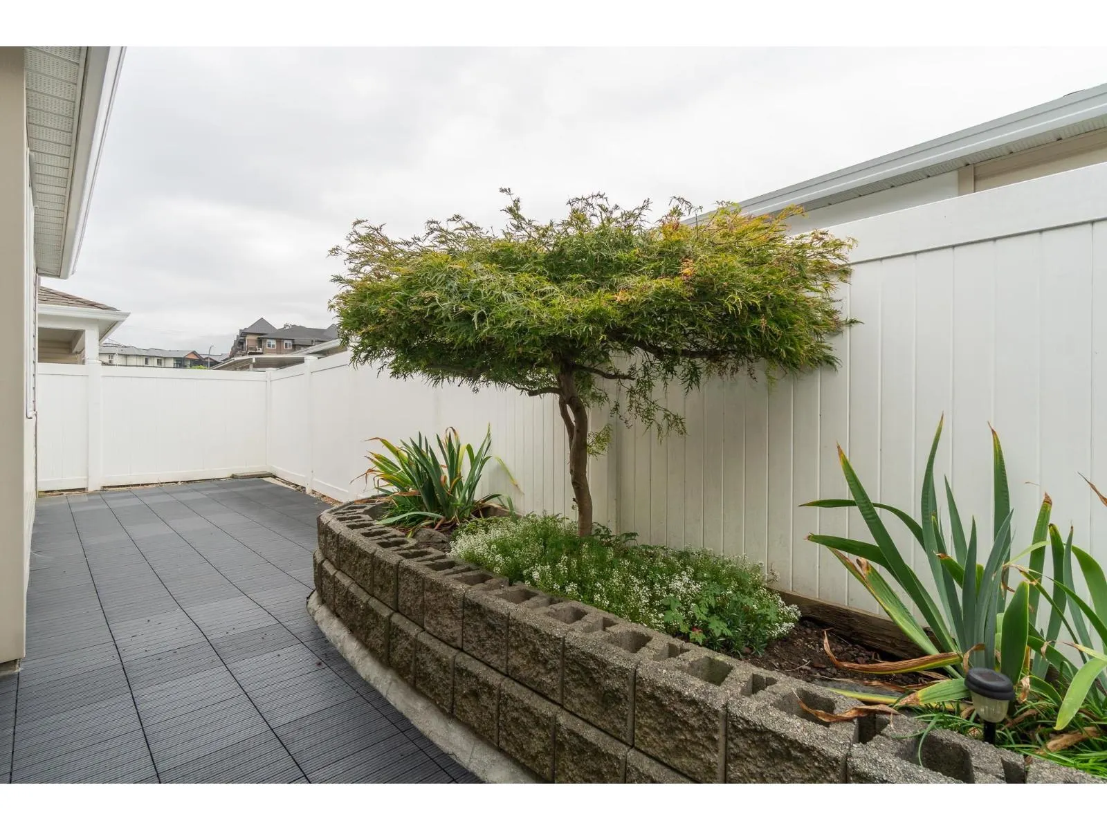 31 8500 YOUNG ROAD|Chilliwack Proper South