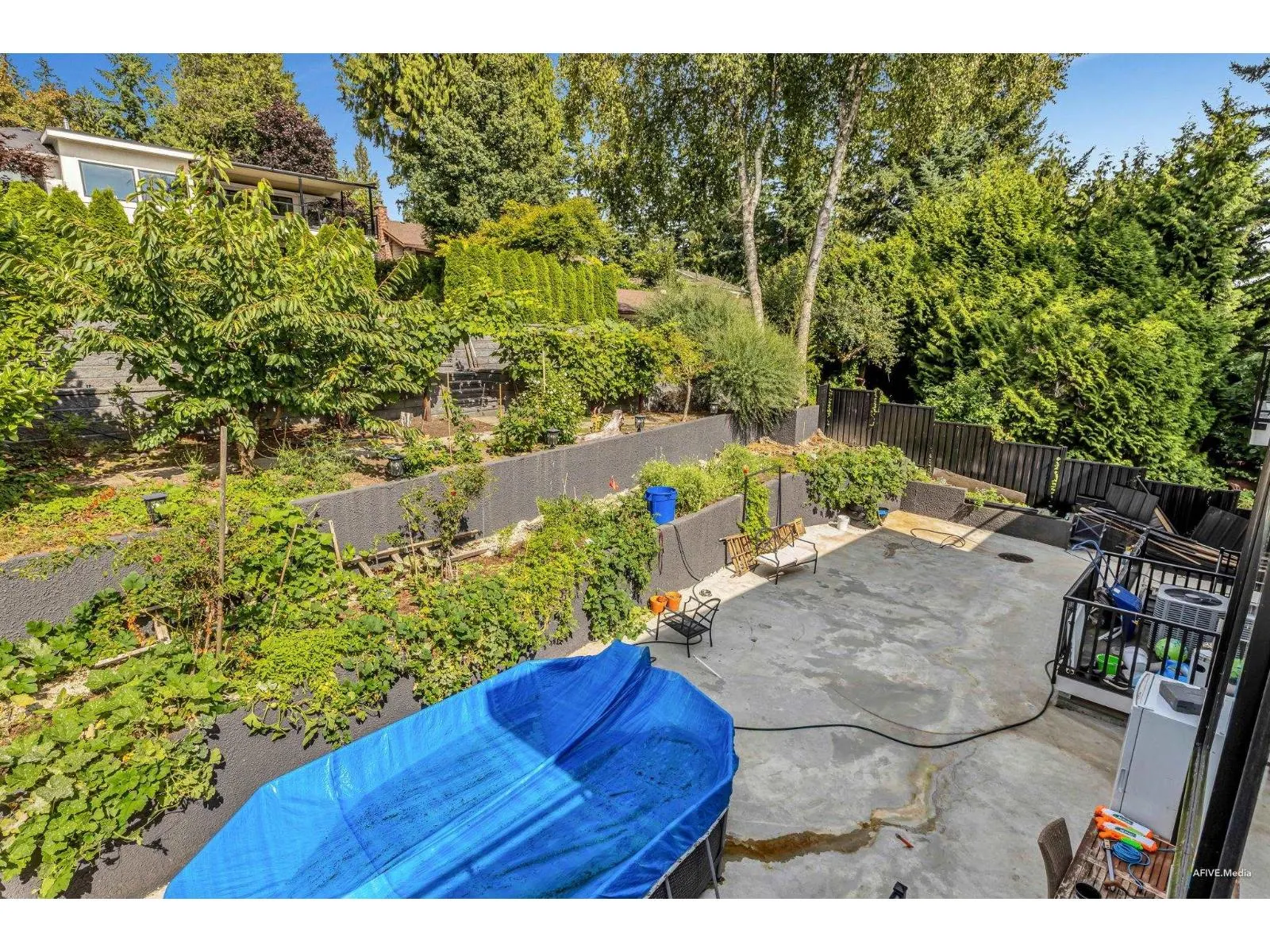 14203 TRITES ROAD