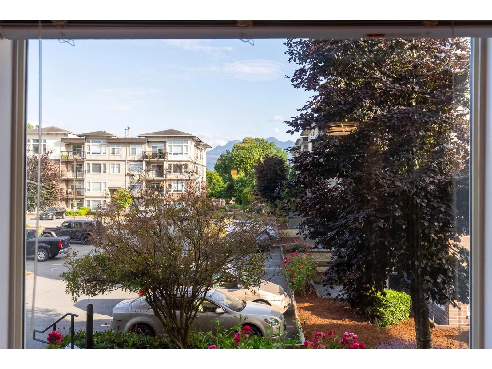 202 46150 BOLE AVENUE|Chilliwack Proper East