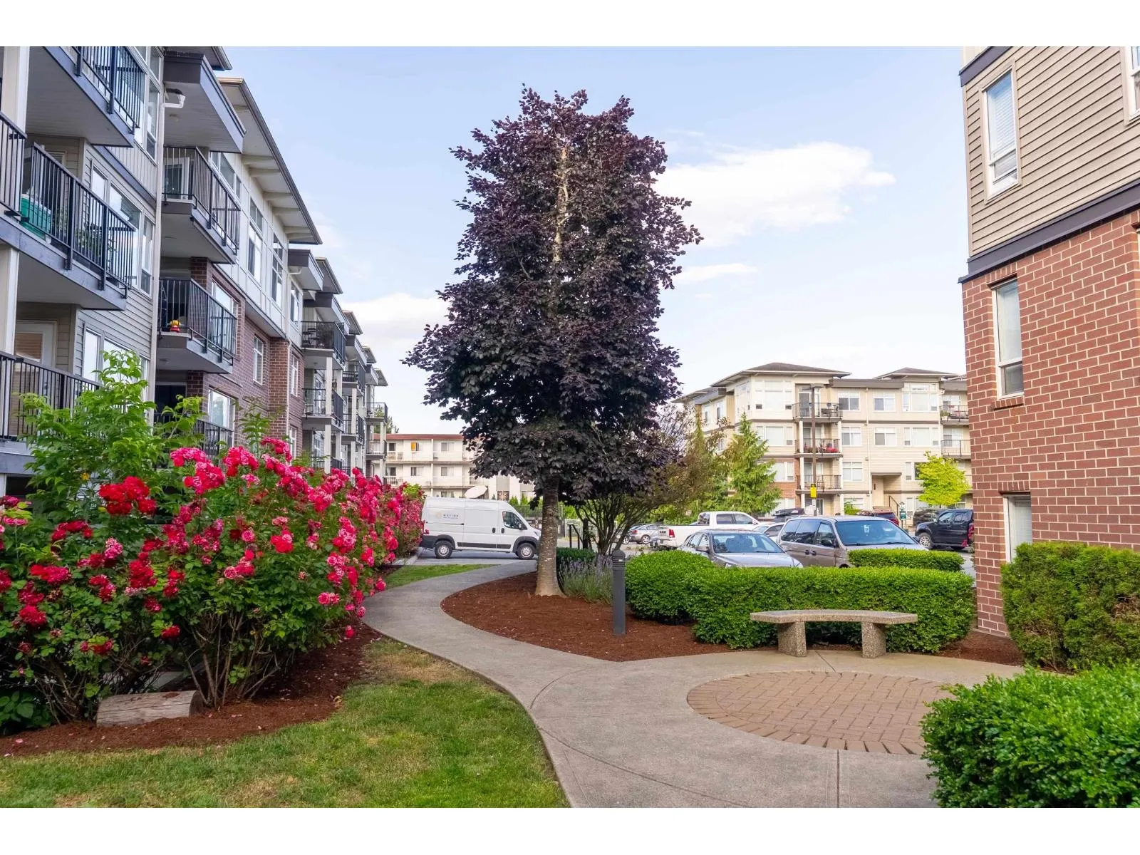 202 46150 BOLE AVENUE|Chilliwack Proper East