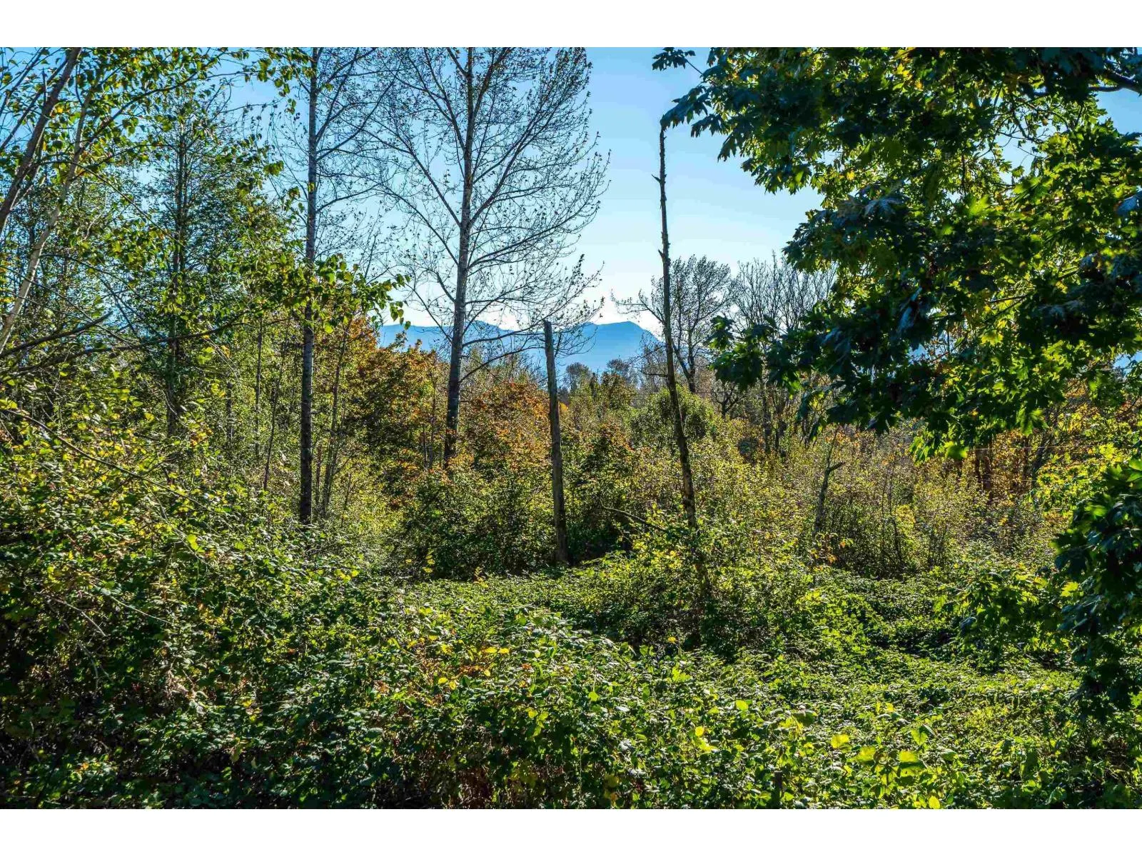 9 43201 LOUGHEED HIGHWAY