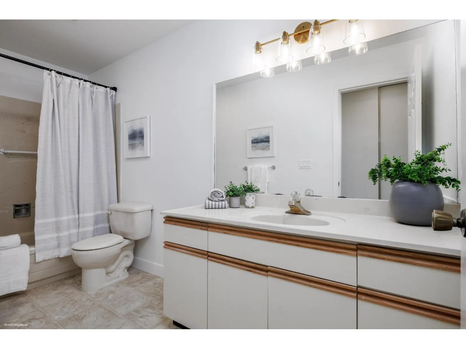 15 45915 CHEAM AVENUE|Chilliwack Downtown