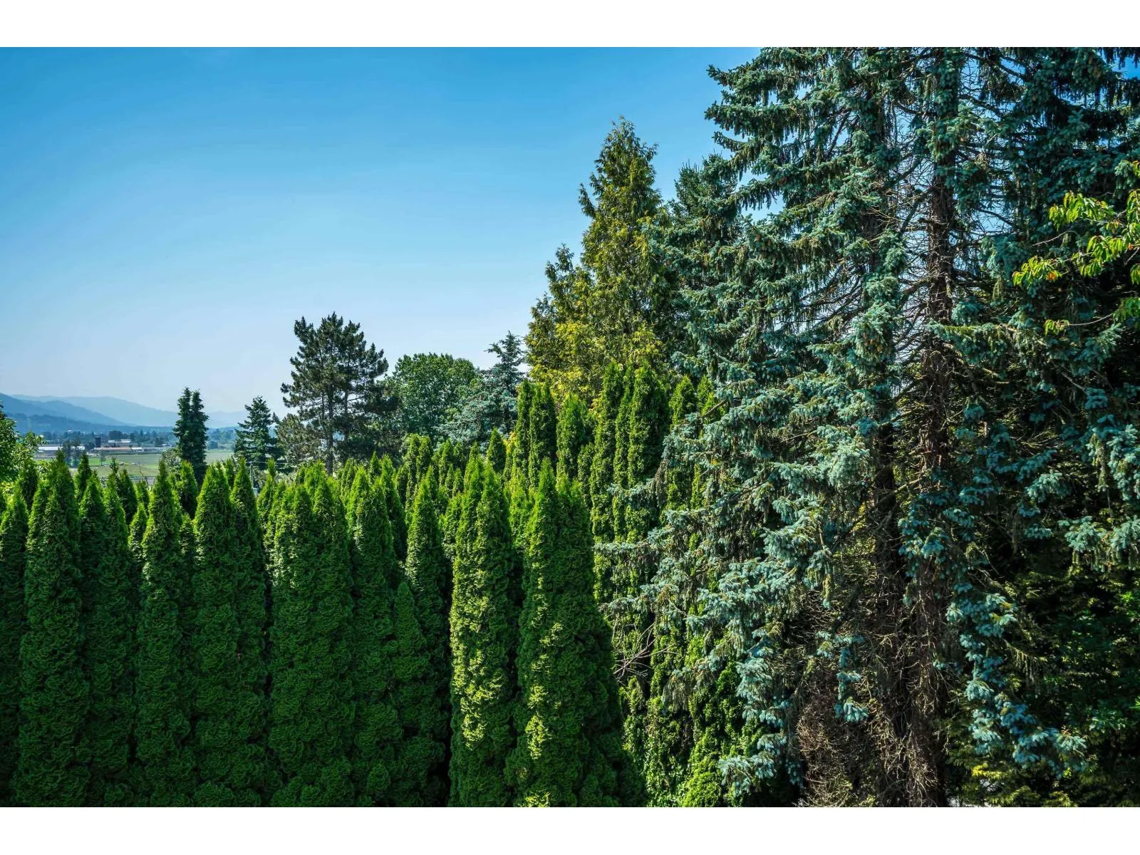 34980 SKYLINE DRIVE