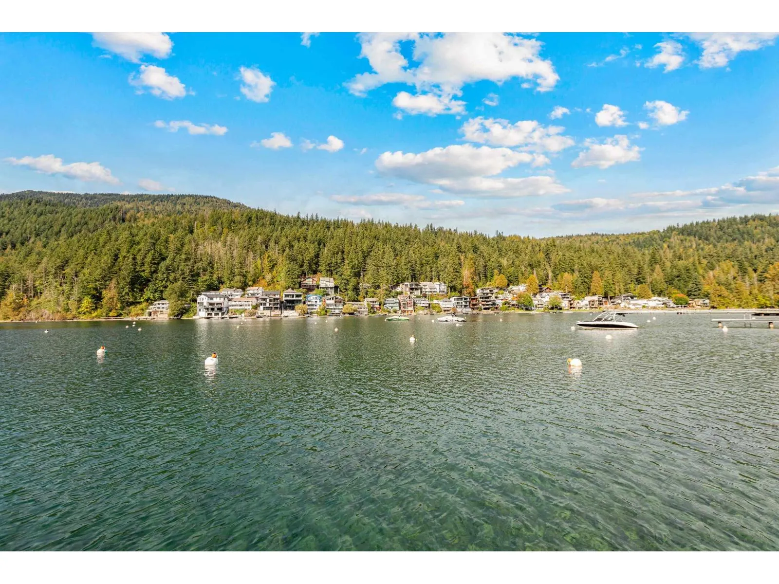 279 FIR STREET|Cultus Lake North