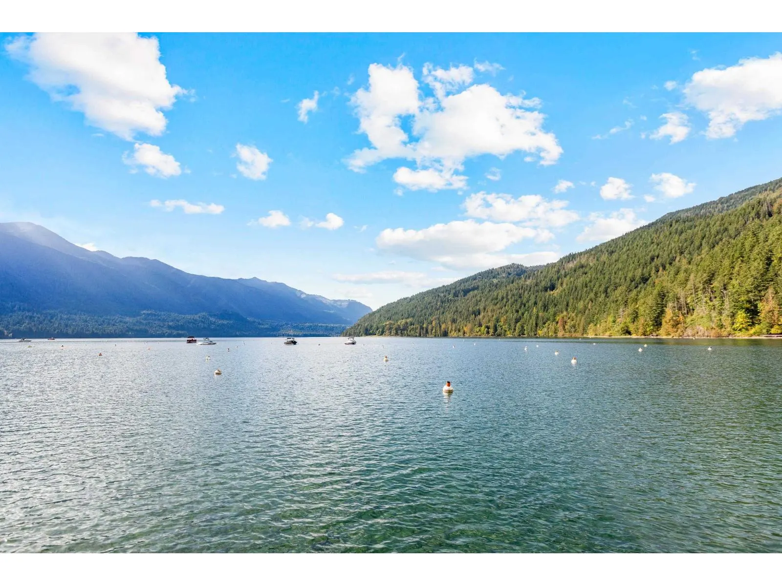 279 FIR STREET|Cultus Lake North
