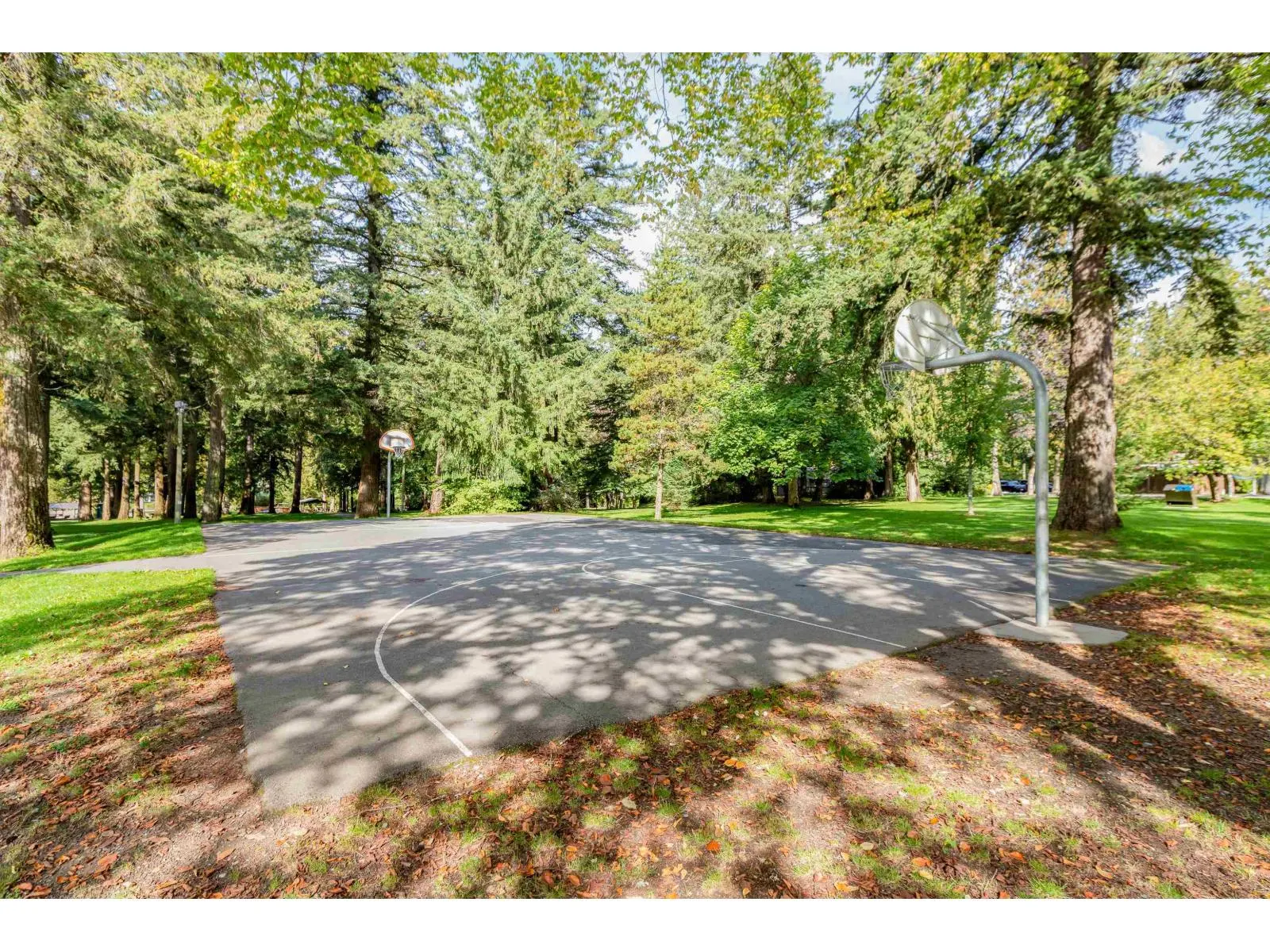 279 FIR STREET|Cultus Lake North