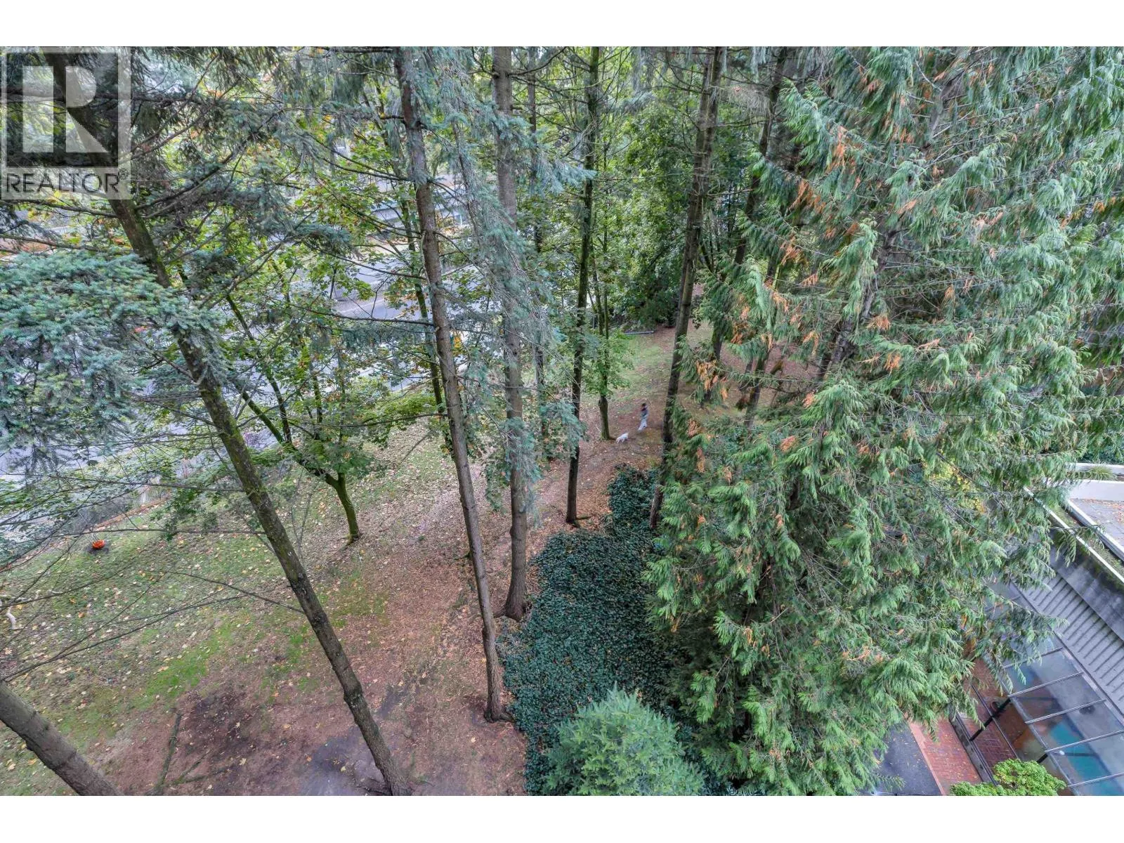 501 3771 BARTLETT COURT