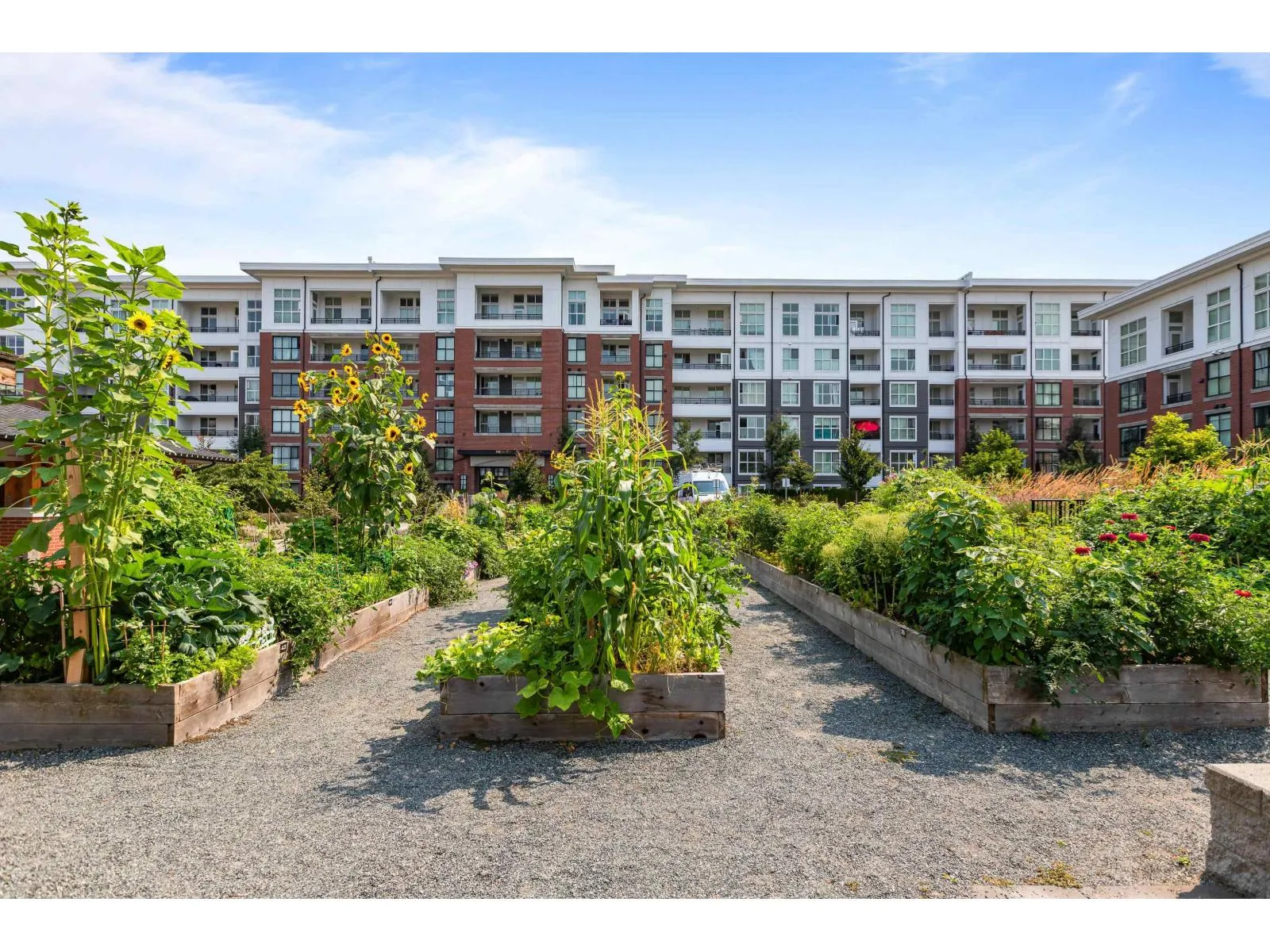 B319 8150 207 STREET