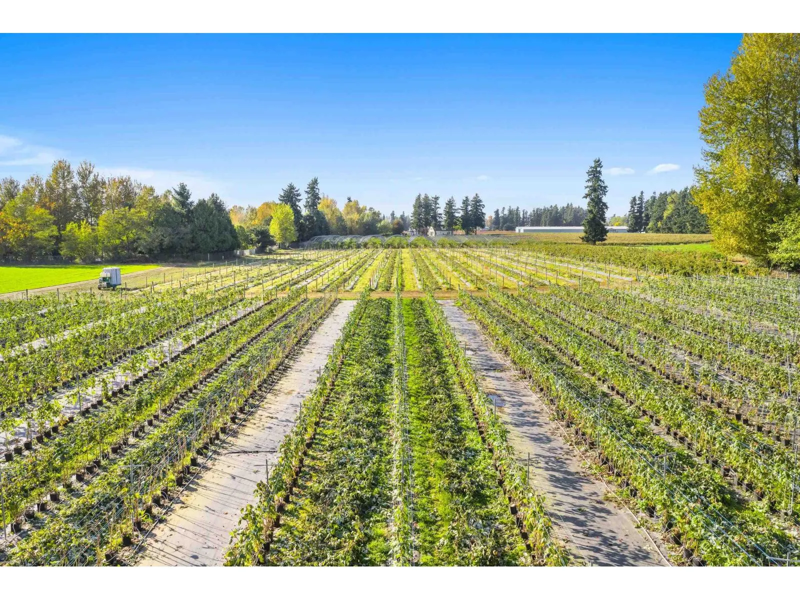 1415 CLEARBROOK ROAD