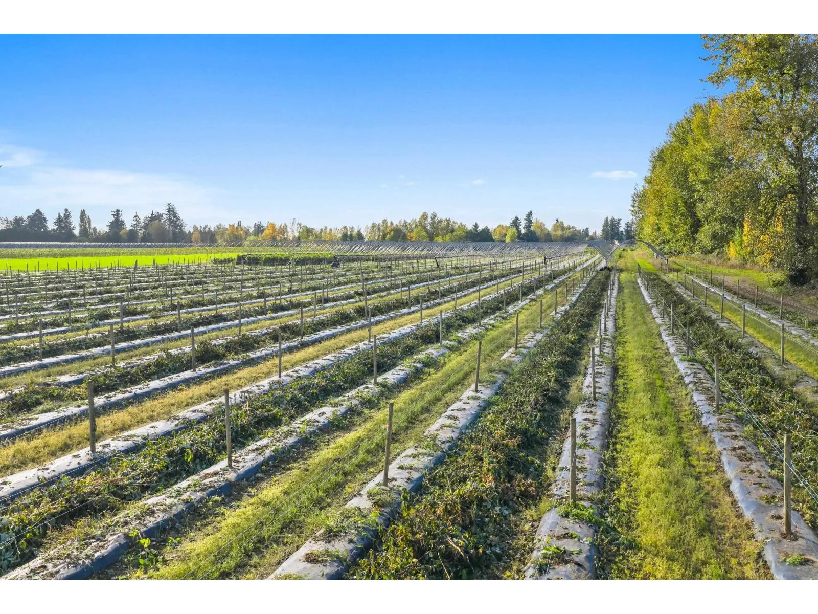 1415 CLEARBROOK ROAD