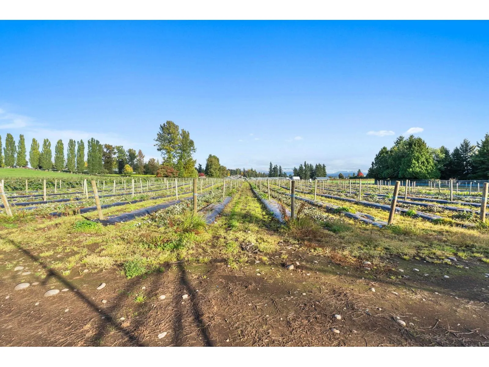 1415 CLEARBROOK ROAD