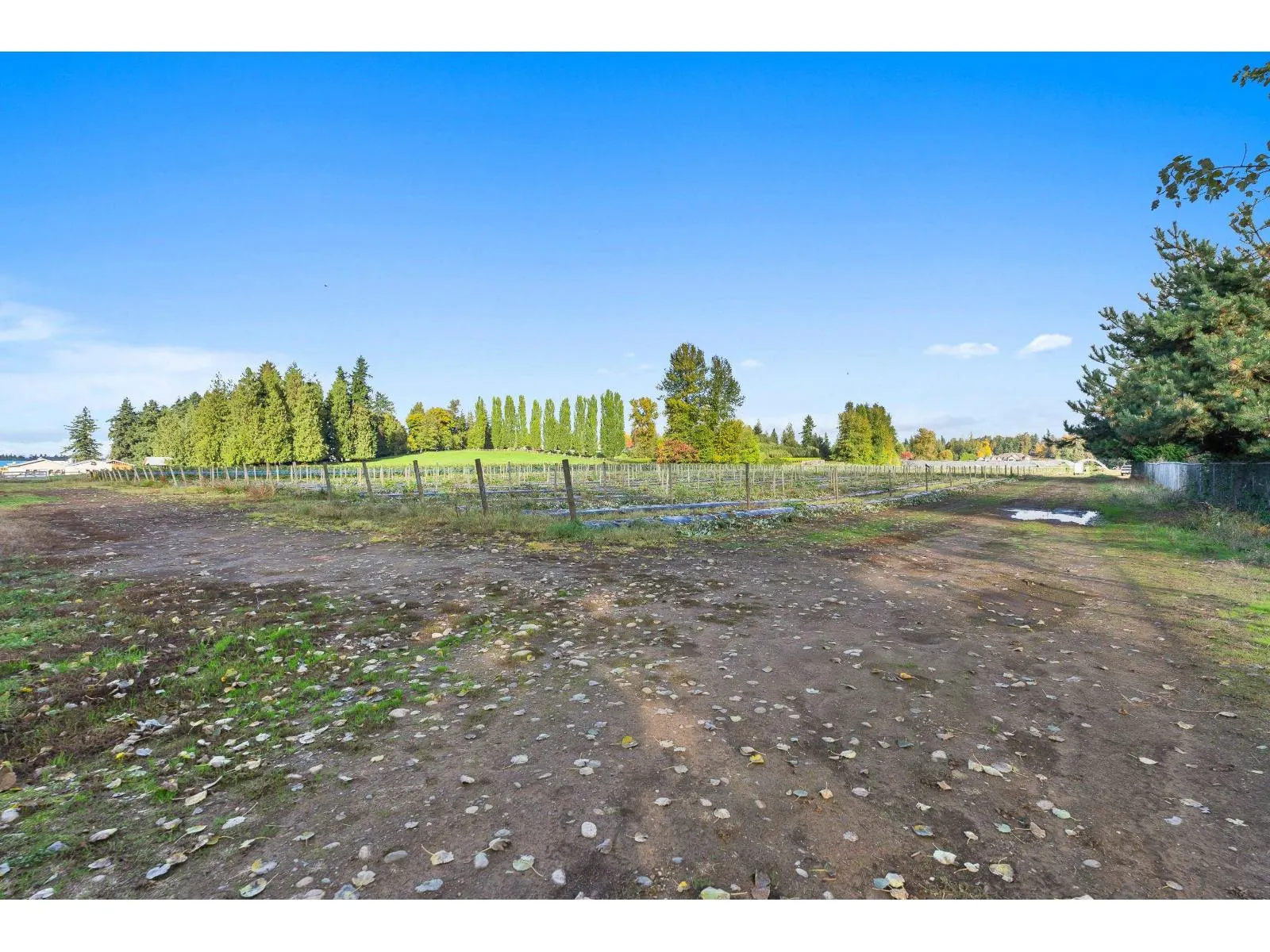 1415 CLEARBROOK ROAD