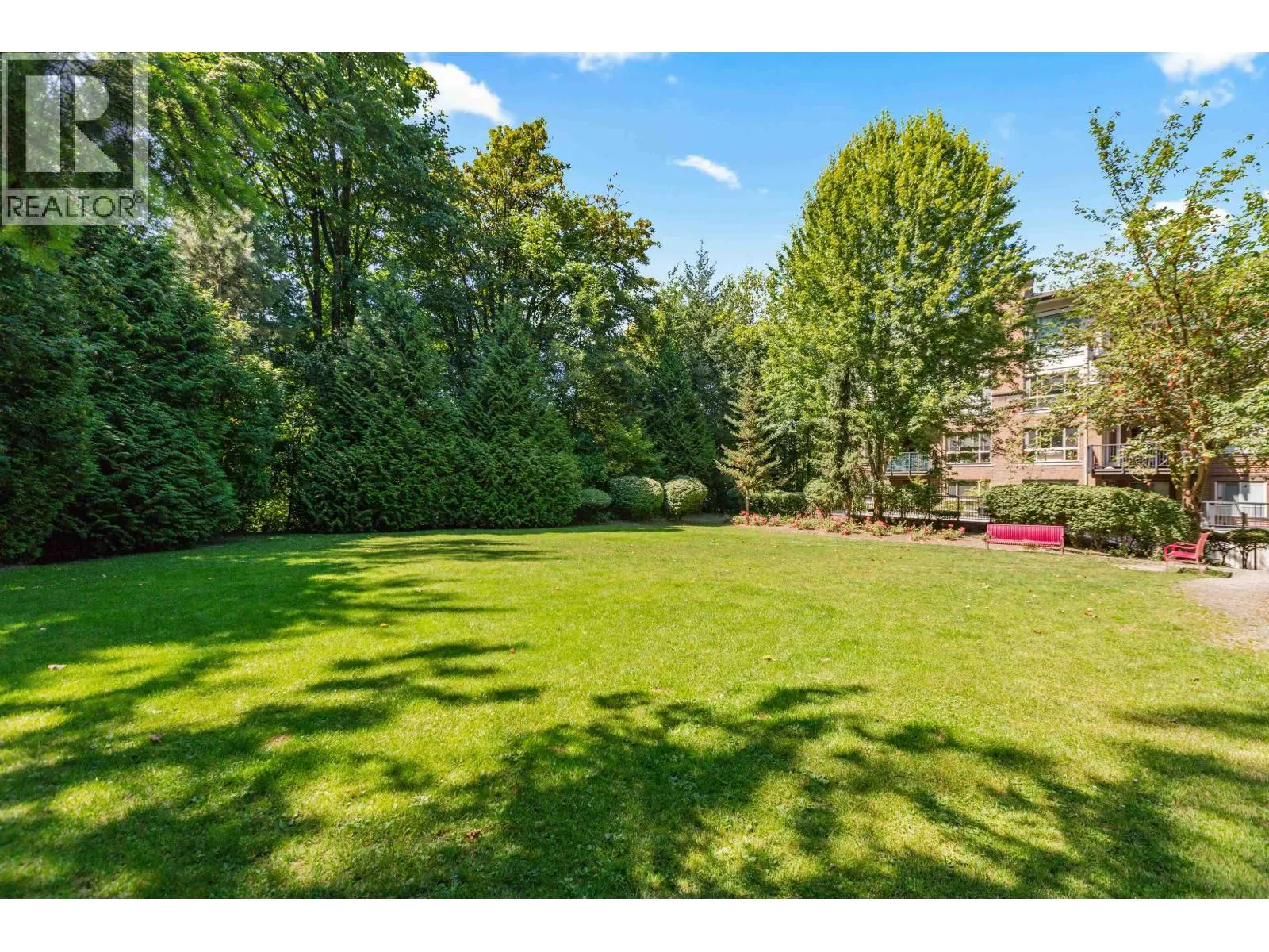 313 11665 HANEY BYPASS