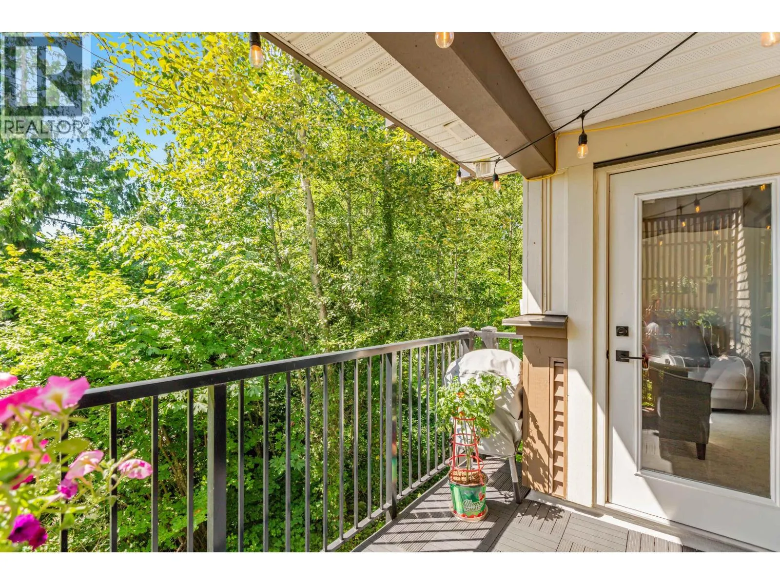 313 11665 HANEY BYPASS