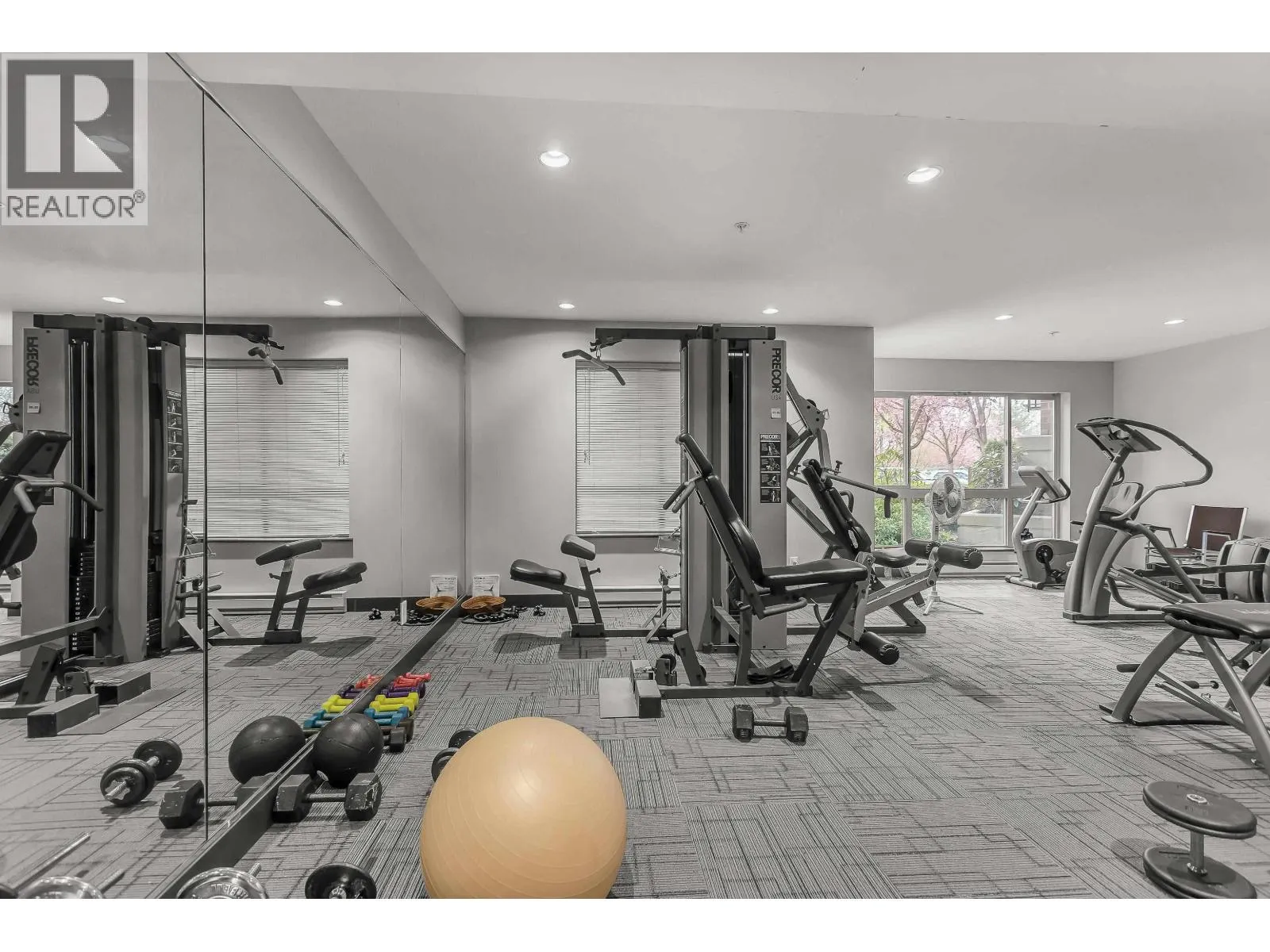 313 11665 HANEY BYPASS