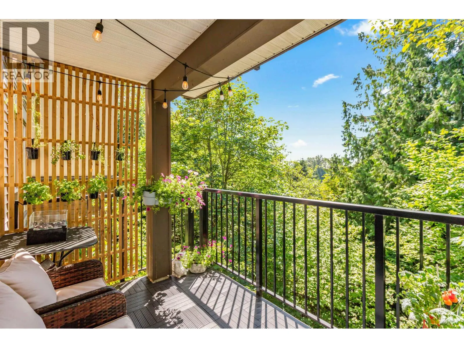 313 11665 HANEY BYPASS