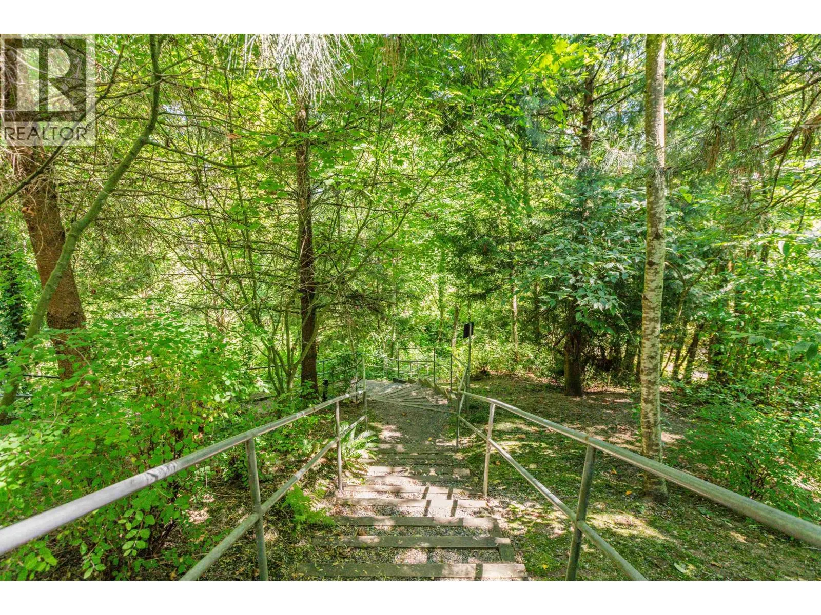 313 11665 HANEY BYPASS