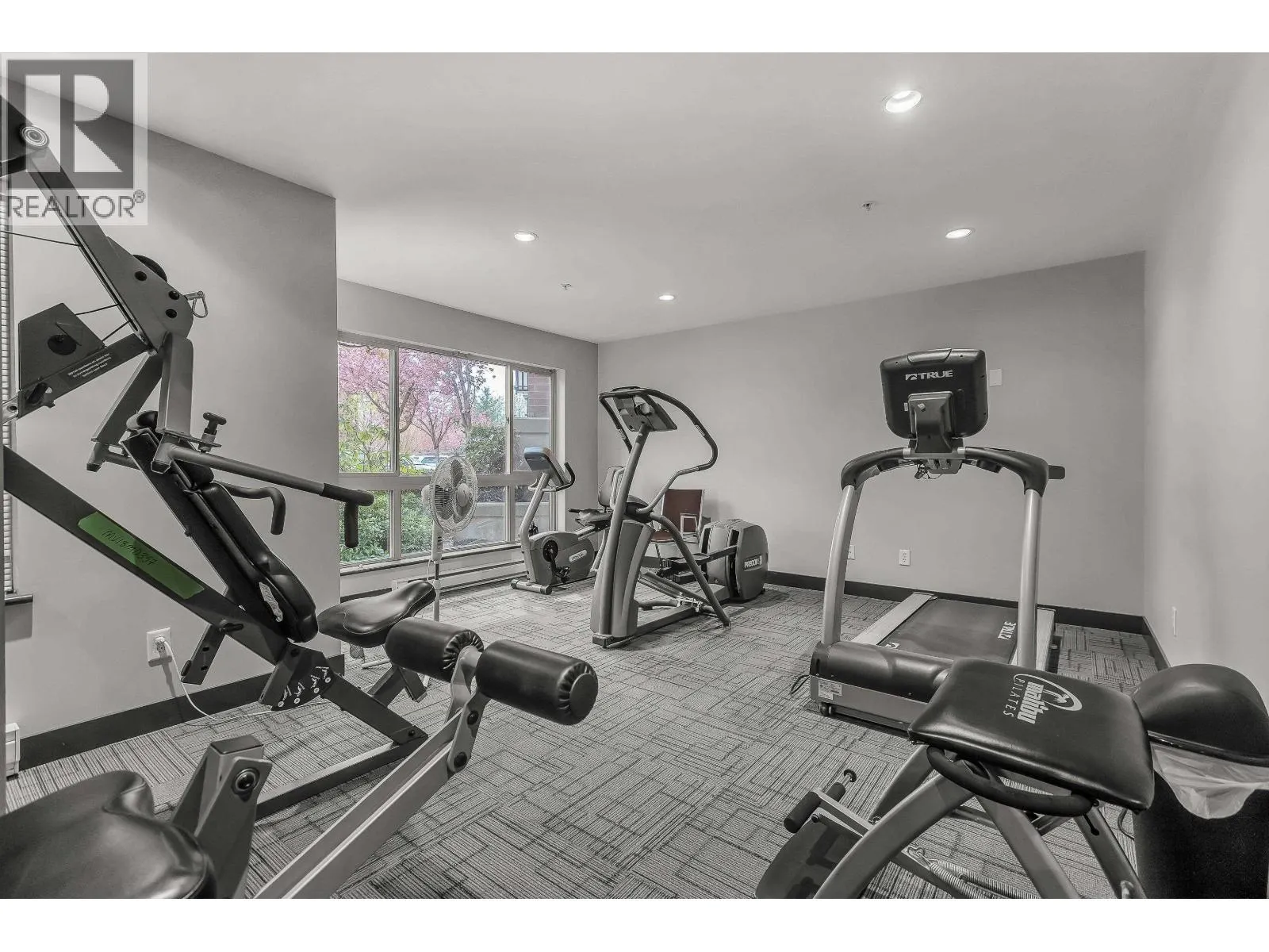 313 11665 HANEY BYPASS