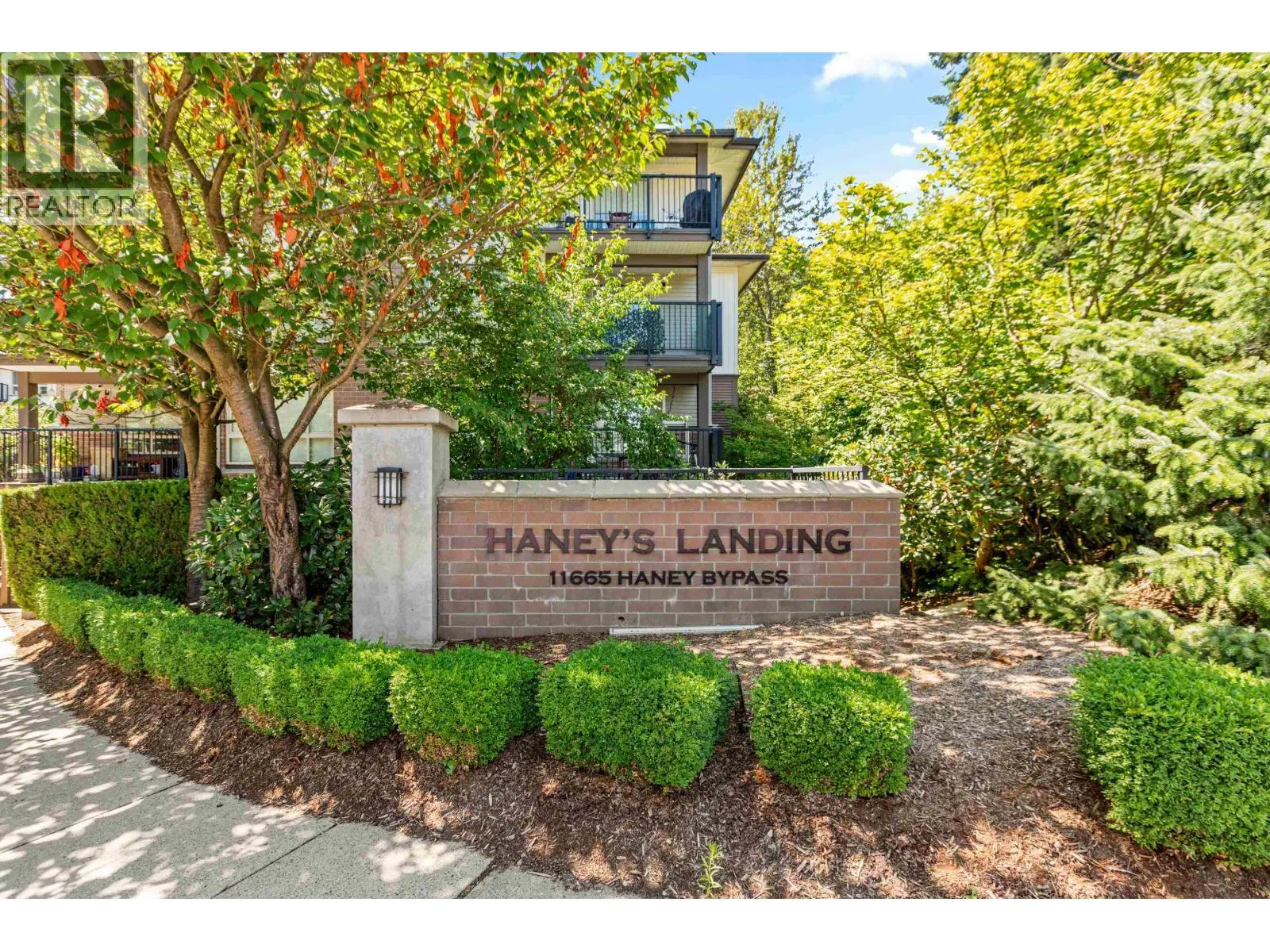 313 11665 HANEY BYPASS