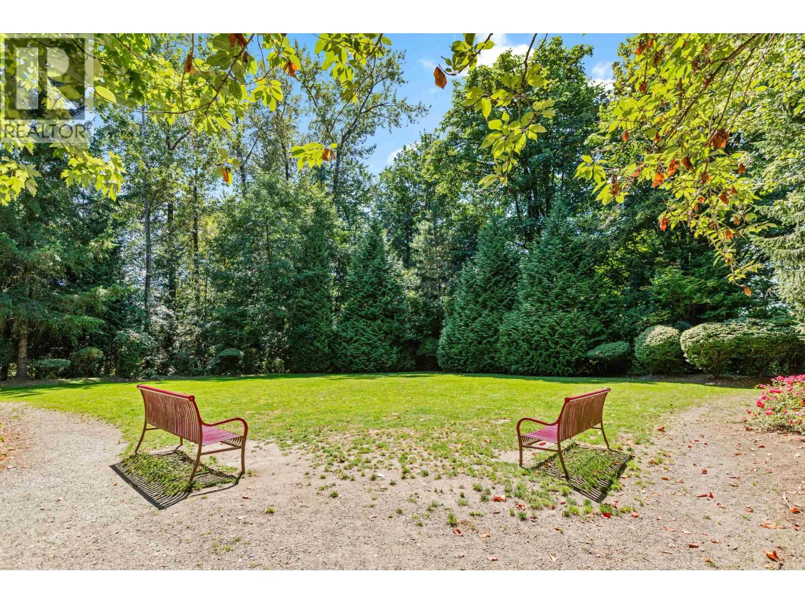 313 11665 HANEY BYPASS