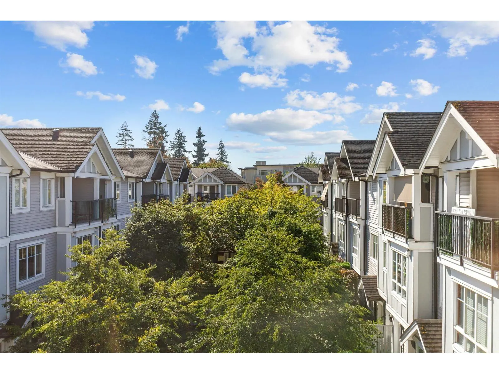 31 13239 OLD YALE ROAD