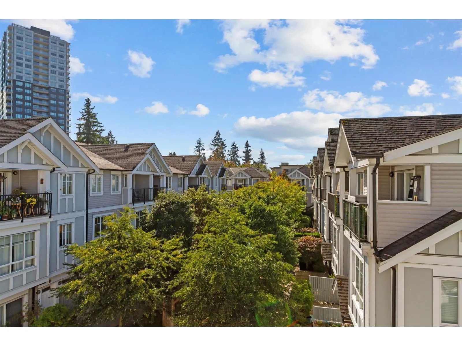 31 13239 OLD YALE ROAD