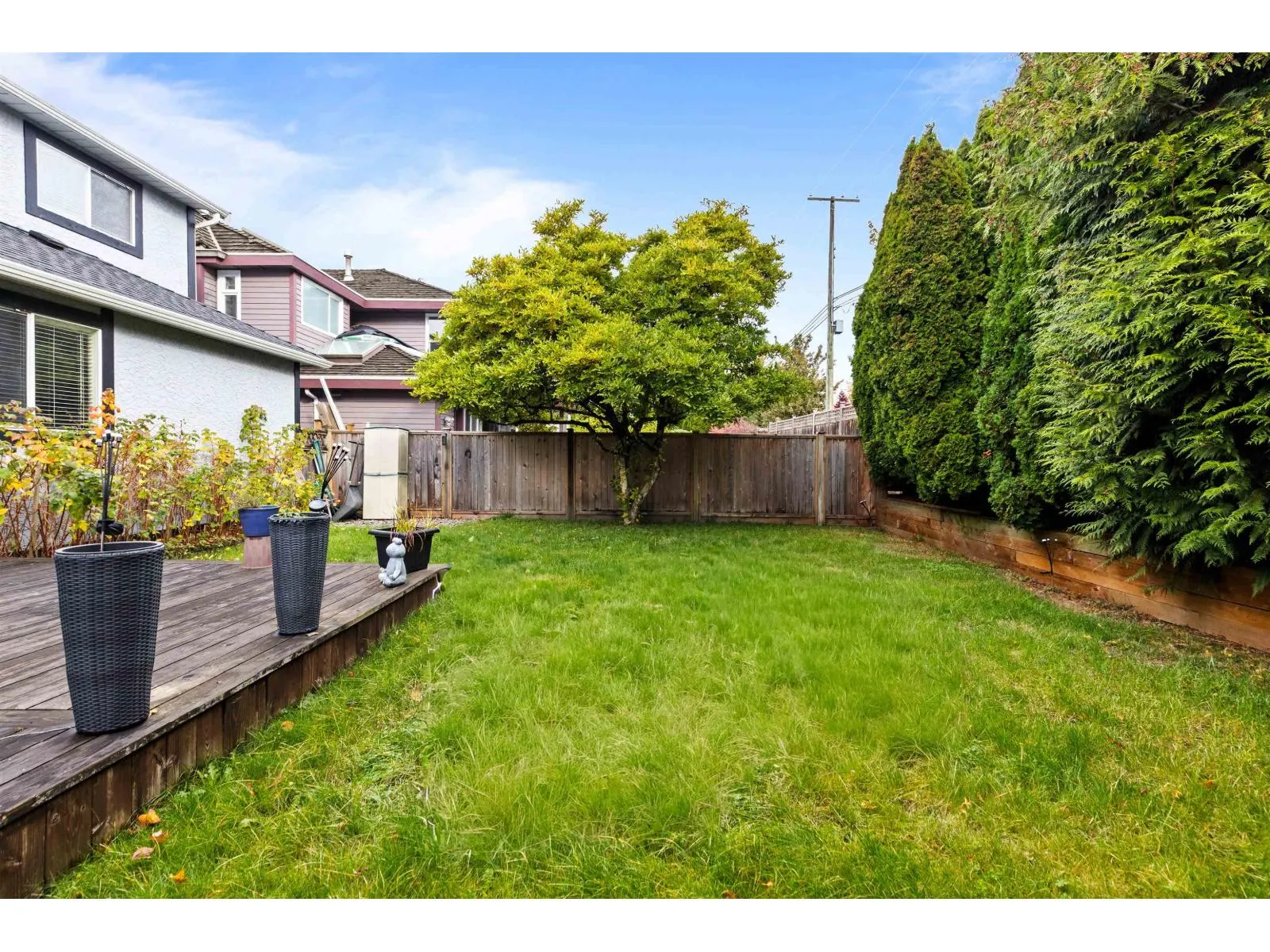 6196 COTTONWOOD STREET