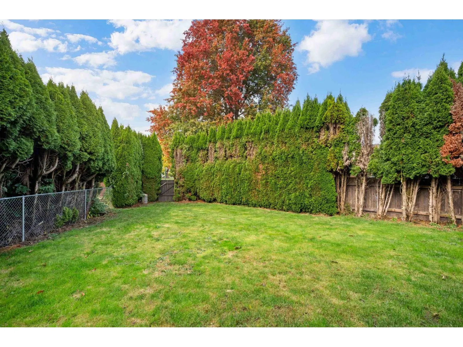 45305 PAISLEY AVENUE|Chilliwack Proper West
