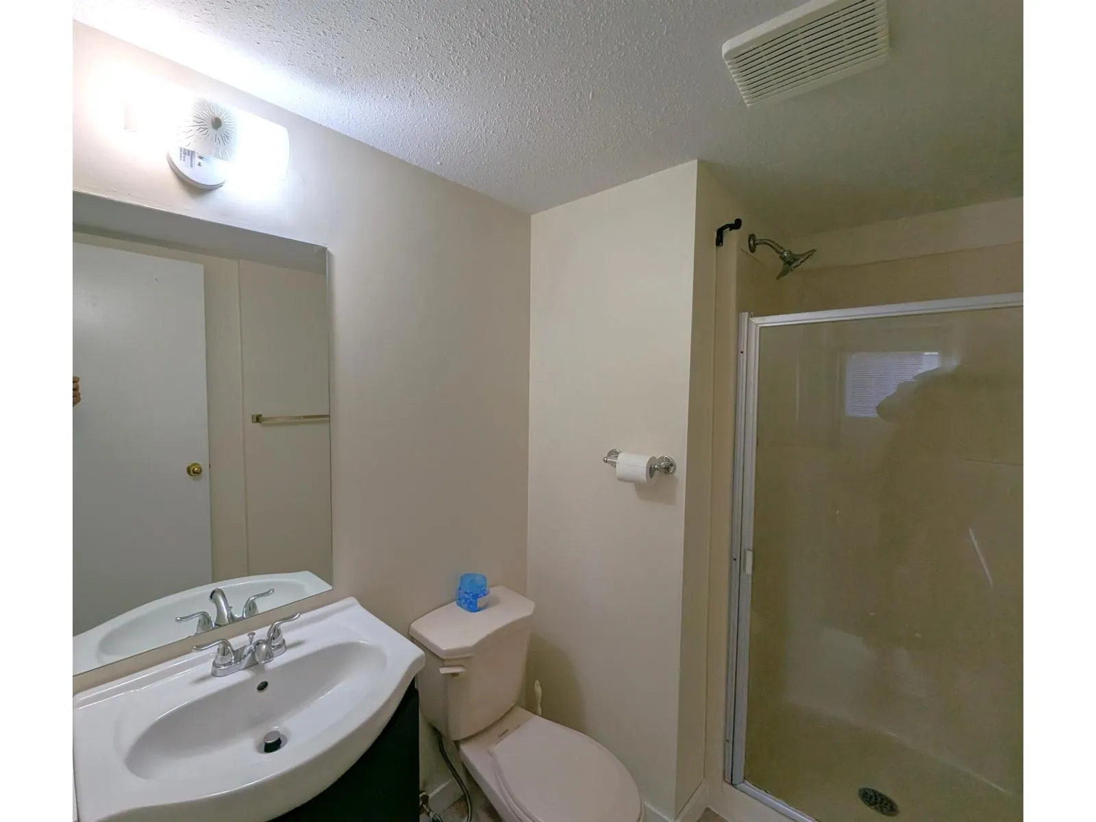 303 33850 FERN STREET