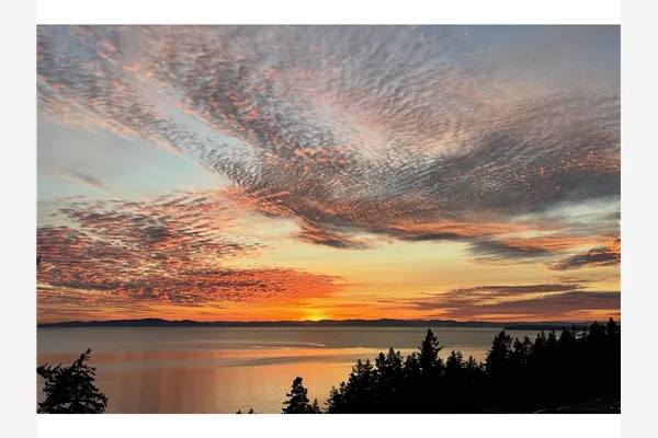 602 14825 THRIFT AVENUE