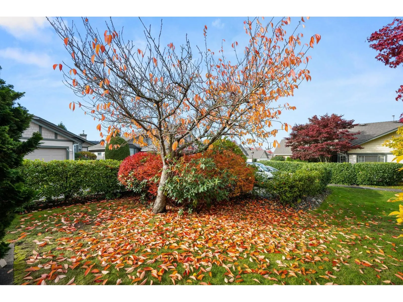 79 9012 WALNUT GROVE DRIVE