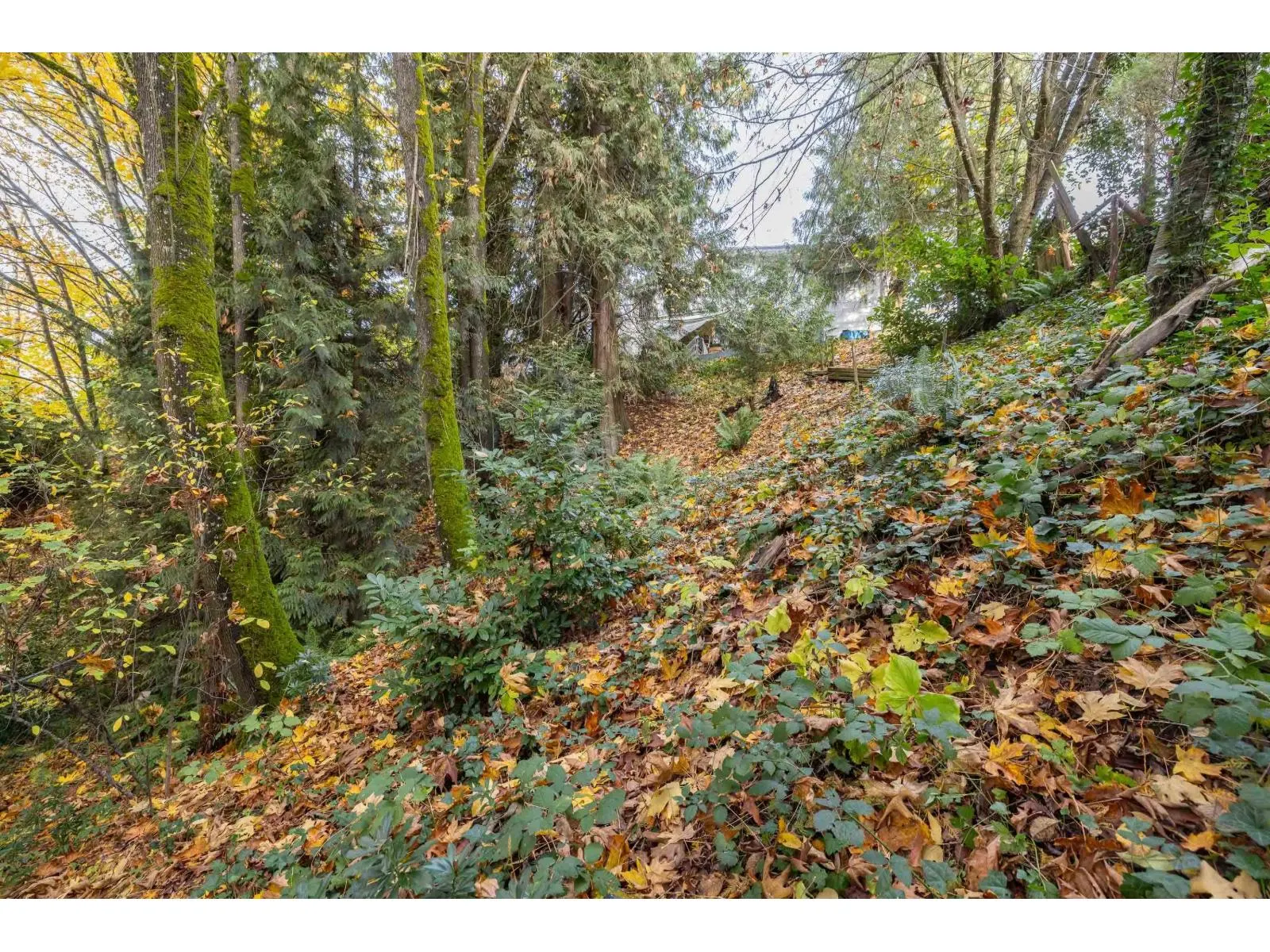 32410 DIAMOND AVENUE