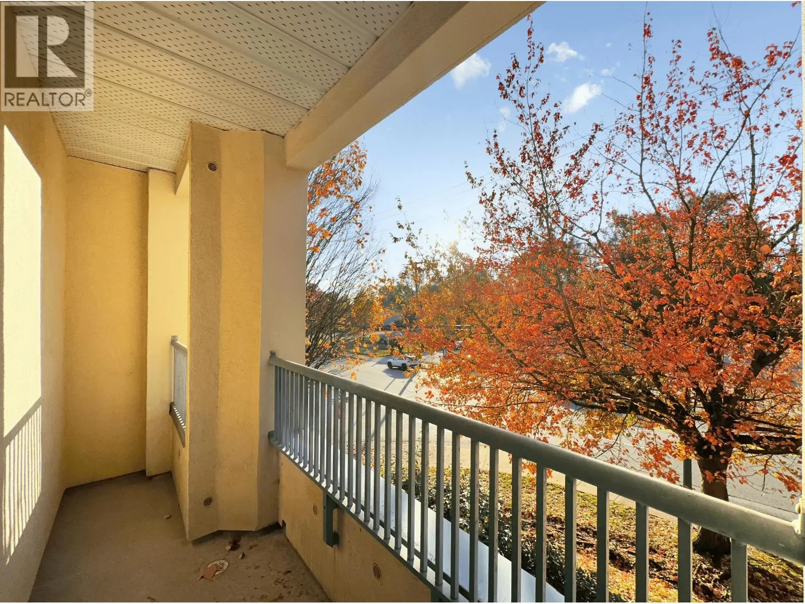 2xx 295 SCHOOLHOUSE STREET