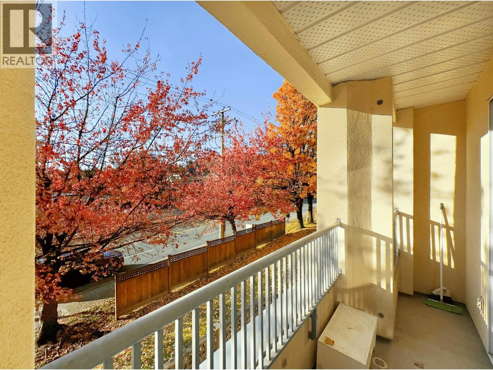 2xx 295 SCHOOLHOUSE STREET