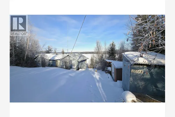 41100 S BEDNESTI LAKE ROAD