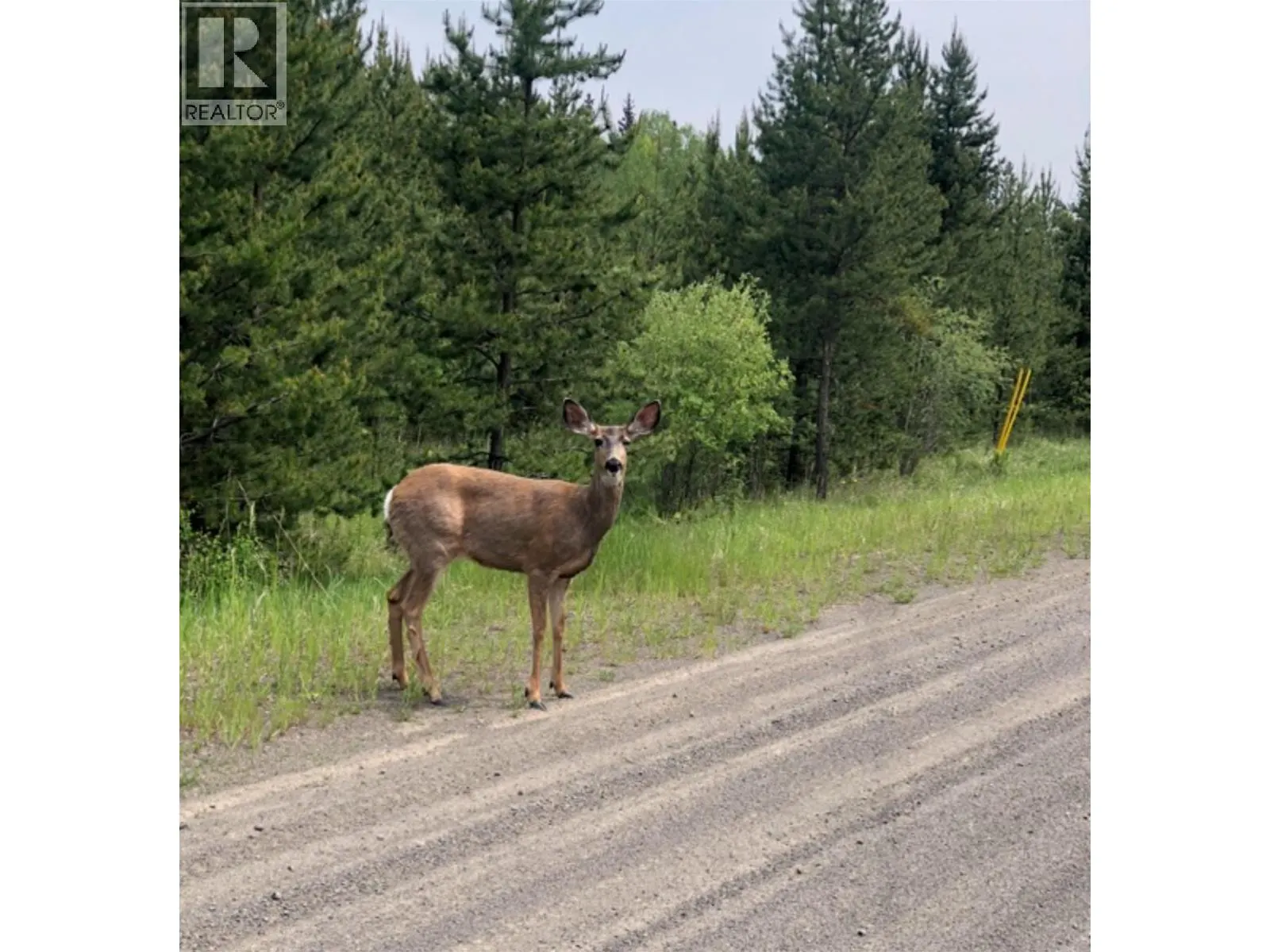 LOT 1 5916 LITTLE FORT 24 HIGHWAY