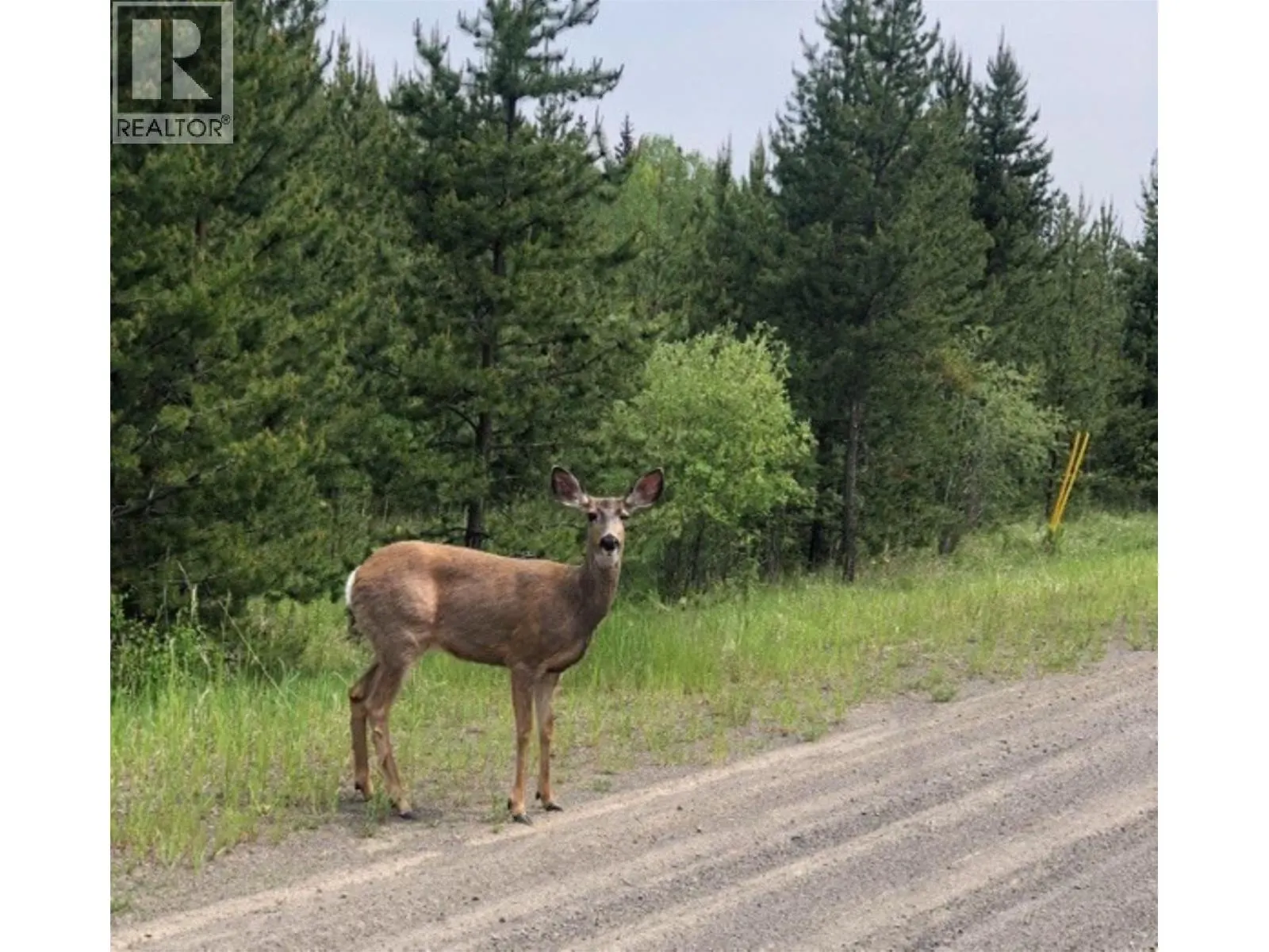 LOT 1 5916 LITTLE FORT 24 HIGHWAY