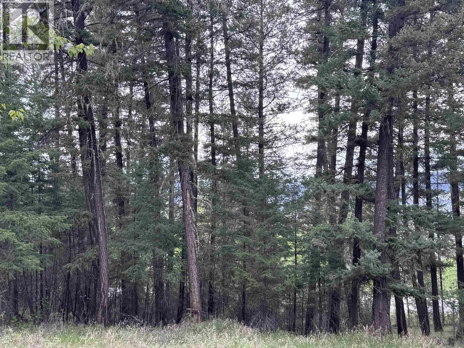 550 DOG CREEK ROAD